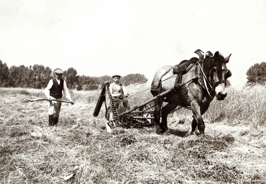 Iedereen was ook boer